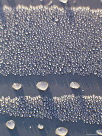 Waterdrops, Dew On Cars, Lymington, Hampshire, England, United Kingdom by Brigitte Bott Pricing Limited Edition Print image