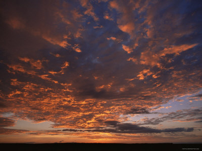 Sunset Sky Over Serengeti National Park, Tanzania by Anup Shah Pricing Limited Edition Print image