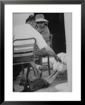 Dachshund Ignoring Pelican's Teasing by James Burke Pricing Limited Edition Print image