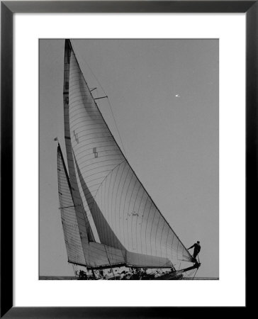 Newport Bermuda Sailing Race: Profile Of Sailboat Ticonderoga During Bermuda Races by Peter Stackpole Pricing Limited Edition Print image