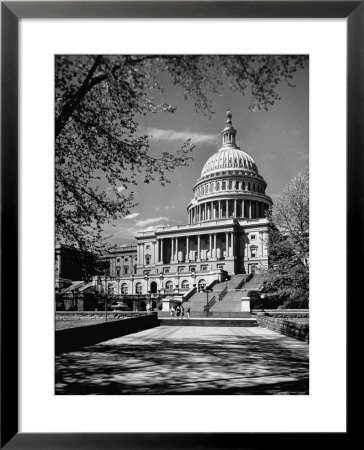 Majestic View Of Us Capitol Building Framed By Budding Branches Of Cherry Trees On A Beautiful Day by Andreas Feininger Pricing Limited Edition Print image