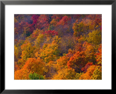 White Mountain National Park, New Hampshire, Usa by Alan Copson Pricing Limited Edition Print image