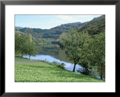 Lettuce Cultivation In Foreground, Near Port D'acres, Midi-Pyrenees, France by Richard Ashworth Pricing Limited Edition Print image