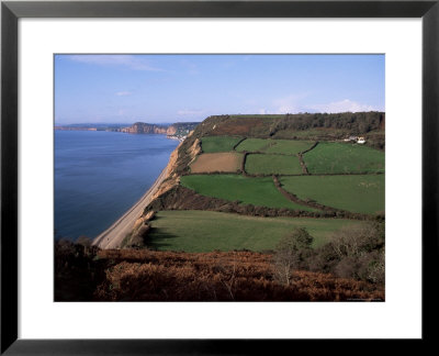 East Devon Coast Path, Near Sidmouth, Devon, England, United Kingdom by Cyndy Black Pricing Limited Edition Print image