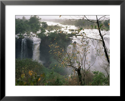 Blue Nile Falls, Lake Tana Area, Gondar Region, Ethiopia, Africa by Bruno Barbier Pricing Limited Edition Print image