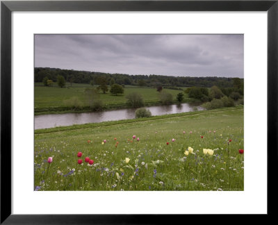 Mount Juliet Estate, Thomastown, County Kilkenny, Leinster, Republic Of Ireland (Eire) by Sergio Pitamitz Pricing Limited Edition Print image