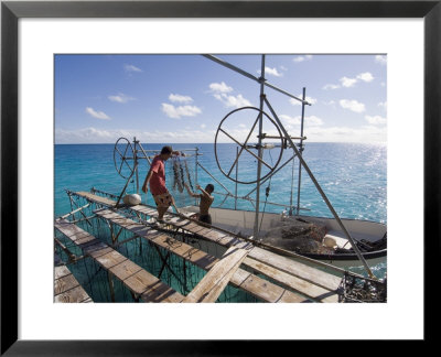 Hinano Black Pearl Farm, Fakarawa, Tuamotu Archipelago, French Polynesia Islands by Sergio Pitamitz Pricing Limited Edition Print image