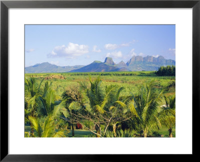 Mauritius, Scenic In The North West Region Of The Island by Fraser Hall Pricing Limited Edition Print image