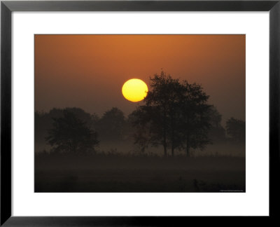 Sunrise, Fischland, Mecklenburg-Vorpommern, Germany by Thorsten Milse Pricing Limited Edition Print image