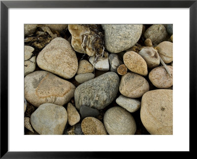 Close-Up Of Rocks On A Beach, Block Island, Rhode Island by Todd Gipstein Pricing Limited Edition Print image