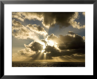 Sunset Over The Pacific by Tim Laman Pricing Limited Edition Print image