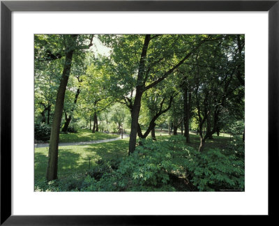 Scenic And Shady Central Park Garden Pathway On A Summers Afternoon, New York by Jason Edwards Pricing Limited Edition Print image