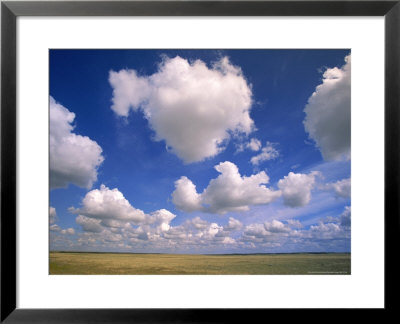 Cumulus Clouds Boiling Over A Saskatchewan Prairie In Summer by John Eastcott & Yva Momatiuk Pricing Limited Edition Print image