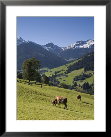 Alpbach, Tirol, Austria by Doug Pearson Pricing Limited Edition Print image