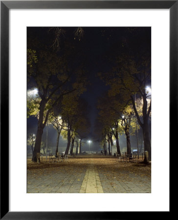 Park At Night, Padua, Italy by Chuck Haney Pricing Limited Edition Print image
