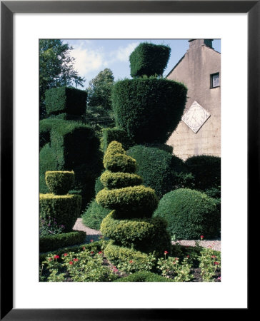 Topiary, Levens Hall, Cumbria, England, United Kingdom by Adam Woolfitt Pricing Limited Edition Print image