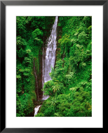 Tiavi Falls, Upolu, Samoa by Peter Hendrie Pricing Limited Edition Print image
