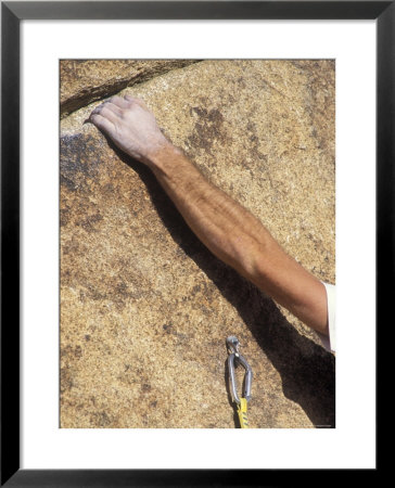 Detail Of A Rock Climbing Bolt And A Climber's Forearm, California by Rich Reid Pricing Limited Edition Print image