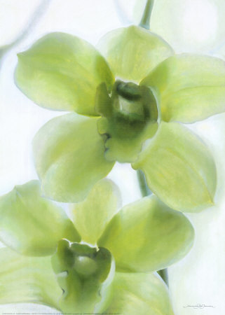Orchid Ii by Annemarie Peter-Jaumann Pricing Limited Edition Print image