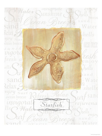 Starfish by Cynthia Rodgers Pricing Limited Edition Print image