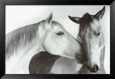 The Nuzzle by Juliet Van Otteren Pricing Limited Edition Print image