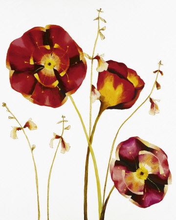 Poppies by Julia Ogden Pricing Limited Edition Print image