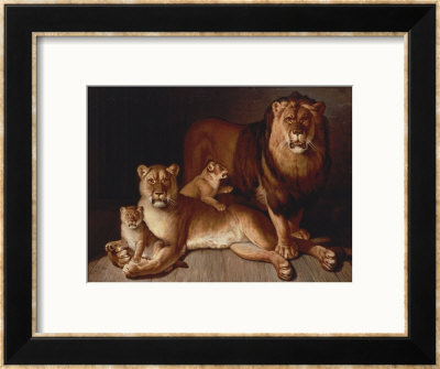 A Pride Of Lions by Edward S. Curtis Pricing Limited Edition Print image