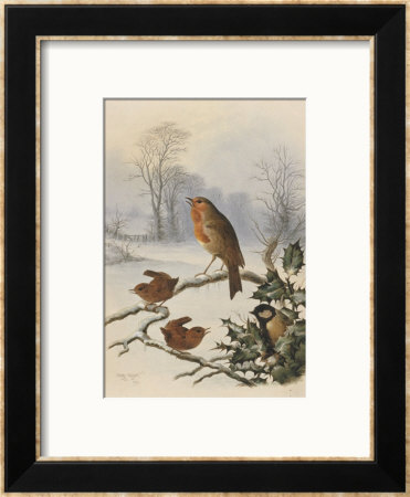 Christmas Robin And Friends by Harry Bright Pricing Limited Edition Print image