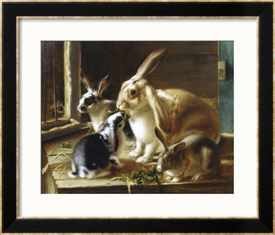 Curious Spectator by Valentine Thomas Garland Pricing Limited Edition Print image