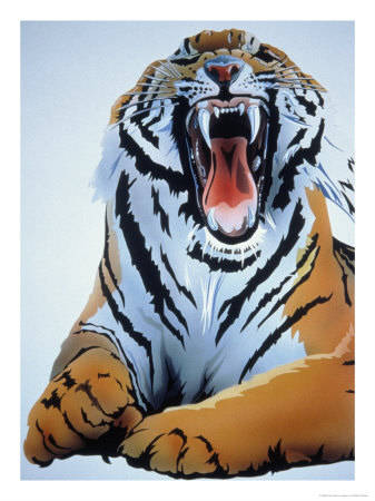 Growling Tiger by William Silvers Pricing Limited Edition Print image