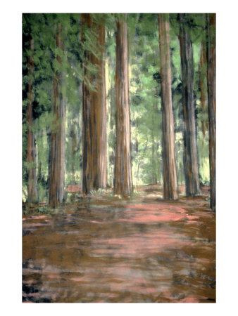 Illustration Of Pine Trees In A Forest by Mark Hunt Pricing Limited Edition Print image