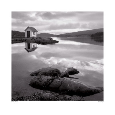 Tranquility Ii by Mattias Nilsson Pricing Limited Edition Print image