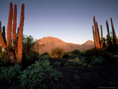 Volcan De Las Virgenes, Mexico by Patricio Robles Gil Pricing Limited Edition Print image