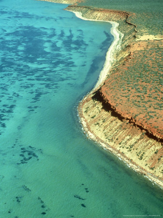Coastline Near Herald Bluff Peron Peninsula, Dark Blue Dots Are Seagrass Banks, W.Australia by Overseas Press Agency Pricing Limited Edition Print image