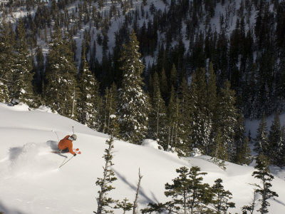 Man Skiing At Solitude Mountain Resort, Utah, Usa by Mike Tittel Pricing Limited Edition Print image