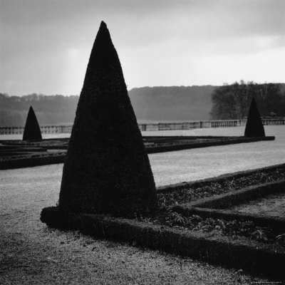 Shrubs Along Pathway, Versailles, France by Eric Kamp Pricing Limited Edition Print image