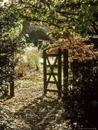 Rustic Gate In Deep Shade Under Tree, September, Sherborne Garden, Somerset by Mark Bolton Pricing Limited Edition Print image