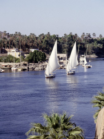 Feluccas On The Nile, Aswan, Egypt by Rick Strange Pricing Limited Edition Print image