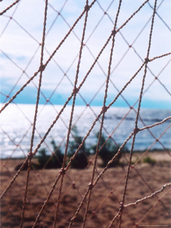 Net, Baltic Sea, Russia by Susanne Friedrich Pricing Limited Edition Print image