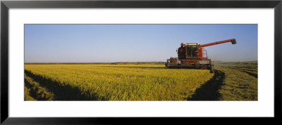 Combine In A Rice Field, Glenn County, California, Usa by Panoramic Images Pricing Limited Edition Print image