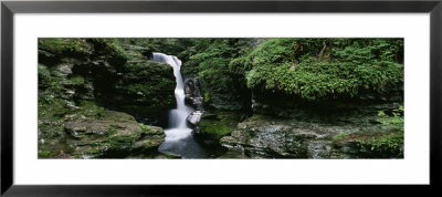 Panoramic View Of A Waterfall, Ricketts Glen State Park, Pennsylvania, Usa by Panoramic Images Pricing Limited Edition Print image