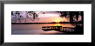 Sunrise Over Lake Whippoorwill, Orlando, Florida, Usa by Panoramic Images Pricing Limited Edition Print image