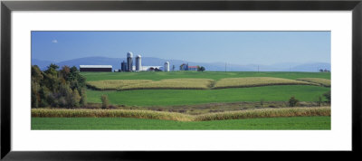 Fields Of Corn And Alfalfa On A Landscape, Vergennes, Vermont, Usa by Panoramic Images Pricing Limited Edition Print image