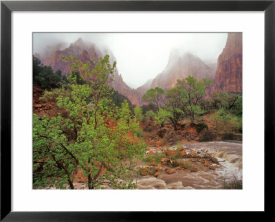 Virgin River In Rain At The Court Of The Patriarchs, Zion National Park, Utah, Usa by Chuck Haney Pricing Limited Edition Print image