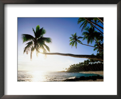 Sun Shining Off Water And Through Palm Tree At Return To Paradise Beach, Upolu, Samoa by Peter Hendrie Pricing Limited Edition Print image