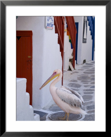 Pelican Standing In Alleyway, Mykonos Island, Southern Aegean, Greece by Diana Mayfield Pricing Limited Edition Print image