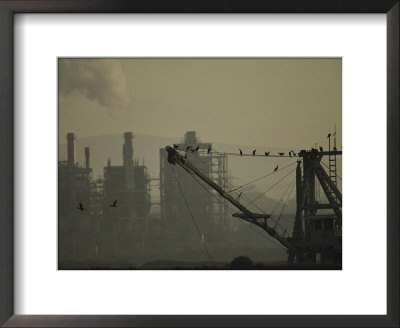 Birds Roost On The Riggings Of A Crane Near Belching Smokestacks by Joel Sartore Pricing Limited Edition Print image