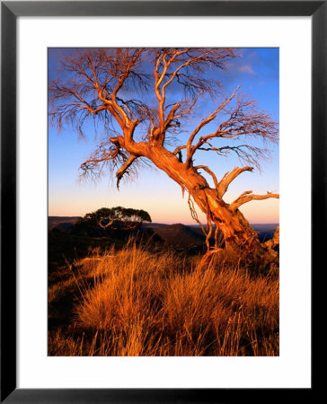 Sunset On Southerm Summit Of Nobs, Alpine National Park, Victoria, Australia by Glenn Van Der Knijff Pricing Limited Edition Print image