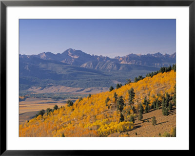 Galena, Sawtooth, Idaho, Usa by Walter Bibikow Pricing Limited Edition Print image