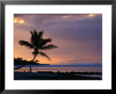 Silhouette Of A Palm Tree And A Person Exercising On The Beach At Dawn, Coral Coast, Fiji by David Wall Pricing Limited Edition Print image